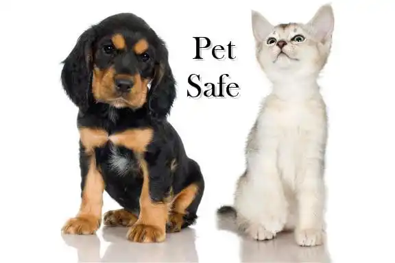 Organic cleaning brooklyn ny