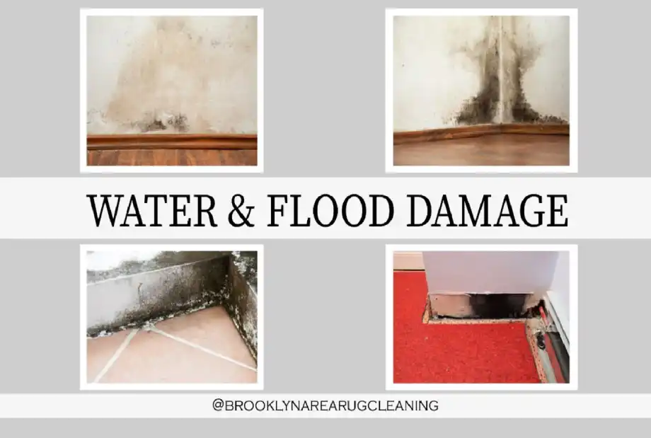 Water and flood Damage services in brooklyn
